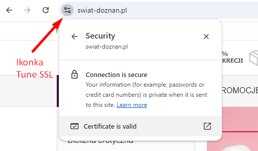Ikonka tune SSL odpowiadająca za bezpieczeństwo serwisu.