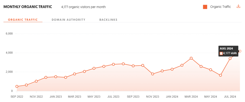 Rezultaty strategii e-commerce sklepu Świat Doznań.